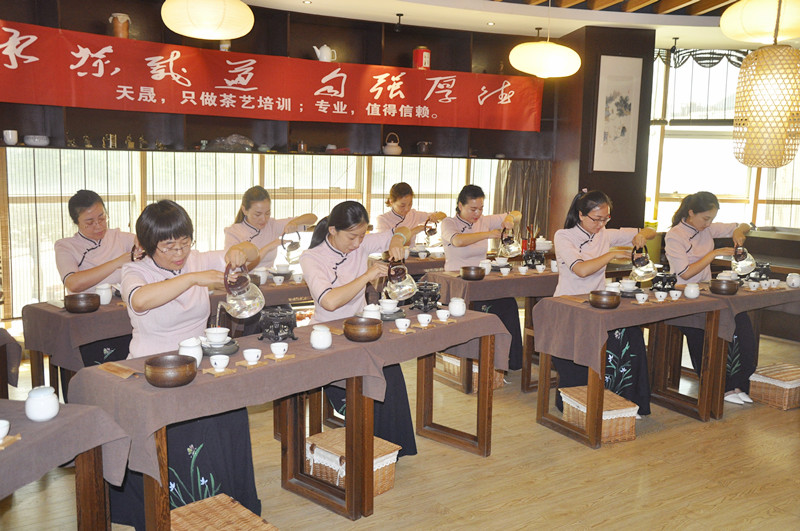 2025年7月茶艺师培训师培训（安溪）招生中